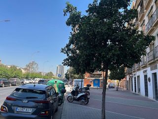 Local comercial en alquiler en La Goleta - San Felipe Neri en Málaga