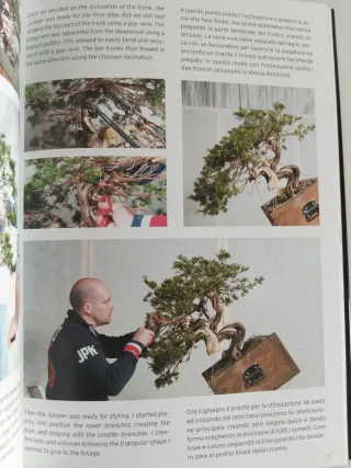 Libro BONSAI DREAMS de Mauro Stemberger