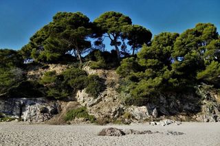 Piso en alquiler en Port d'Aro en Castell-Platja d´Aro