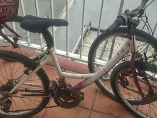 Lote 3 Bicicletas