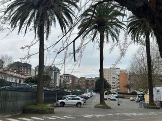 Piso en alquiler en El Sardinero en Santander