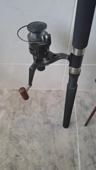 Lote caña de pesca y carrete