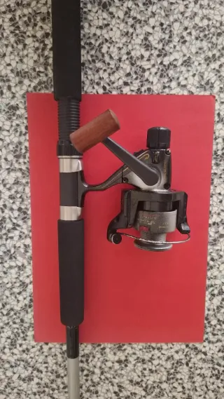 Lote caña de pesca y carrete