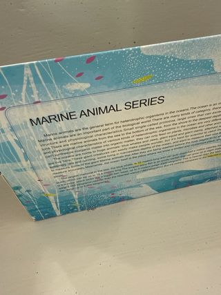 Balena giocattolo educativa