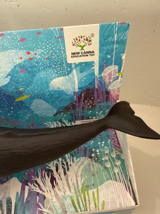 Balena giocattolo educativa