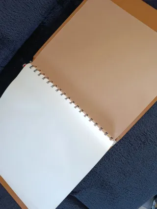 Album Clasificador Sellos de Alemania