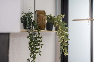 Piso en alquiler en Ciudad Jardín en Madrid