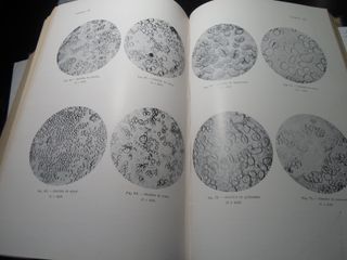 Antico lotto di 2 libri di Chimica Analitica Applicata