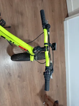 Bicicleta Infantil Plus 20