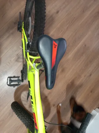 Bicicleta Infantil Plus 20