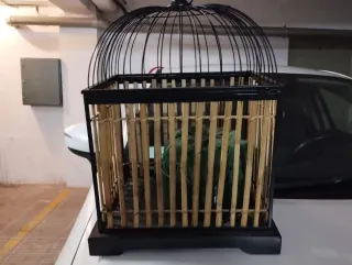 Jaula decorativa de bambú y metal
