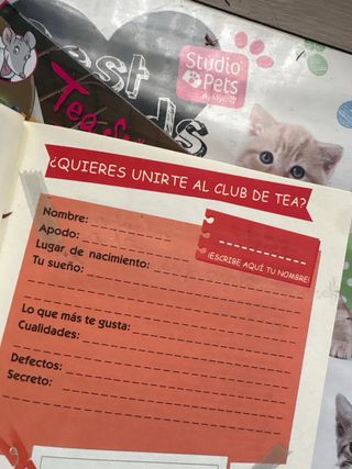 2 Libros de Tea Stilton