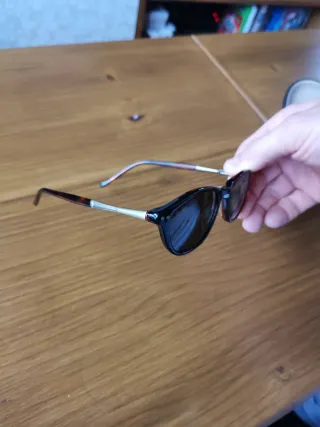 Gafas de sol Ray-Ban marrón negras.