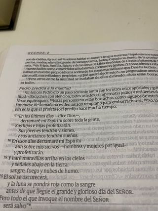 Diario Vivir. Biblia de estudio. Letra grande.