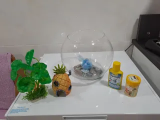 Pecera redonda con accesorios