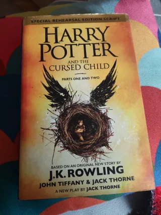 Harry Potter and the Cursed Child, parts one an...