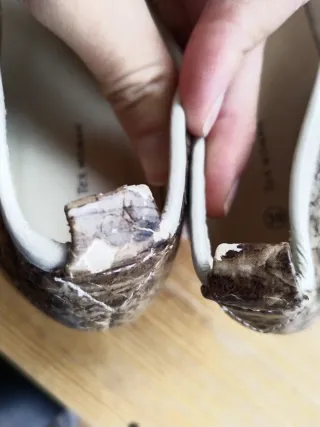 Bailarinas "Tex Woman" T-39