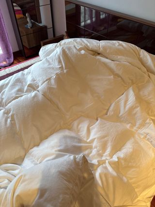 Nórdico de plumas oca