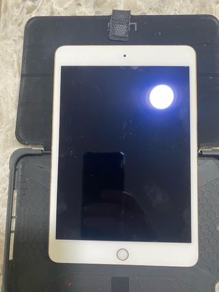 iPad Mini 4 A1538