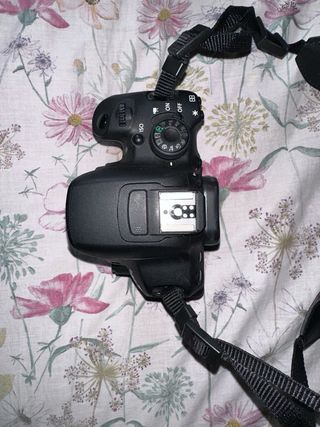 Cámara Canon EOS 700D Kit EF-S 18-55mm IS STM