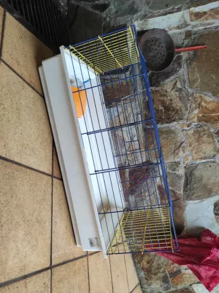 Jaula para conejos