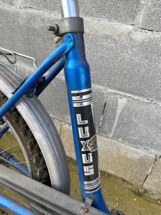 Bicicleta LUXUS Piñón Fijo