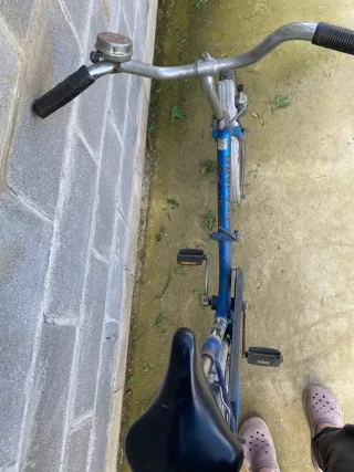 Bicicleta LUXUS Piñón Fijo