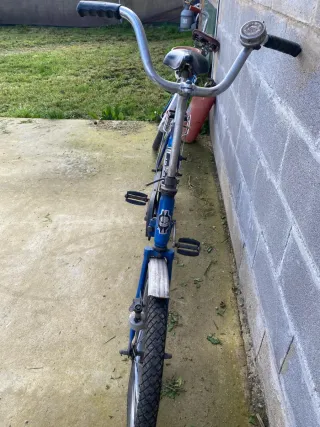 Bicicleta LUXUS Piñón Fijo