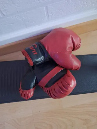 Set Boxeo Infantil Guantes y Saco