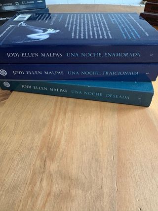 Triologia Una noche deseada