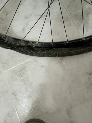 Ruedas de Bicicleta 29