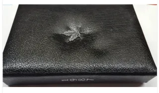 Estuche Monedas Royal  Canadian Mint Dólar plata