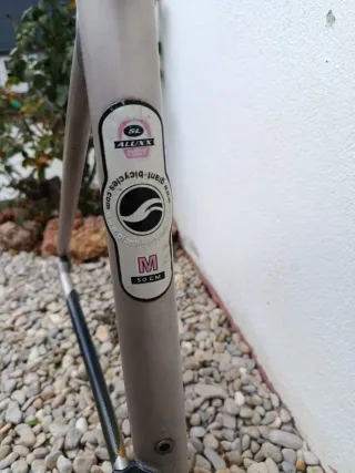 Cuadro Giant TCR Once Jalabert