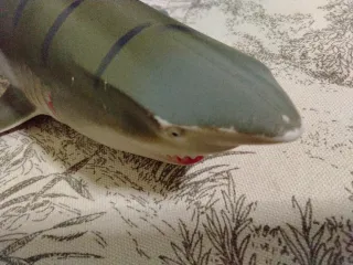 Giocattolo squalo con strisce