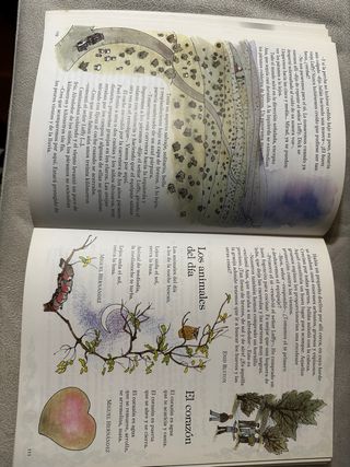 Libro Senda 4 (Ed. Santillana). Años 80.