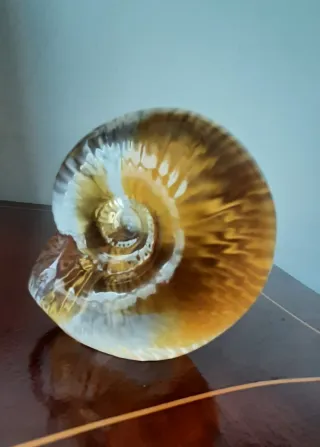 Figura de cristal firmada