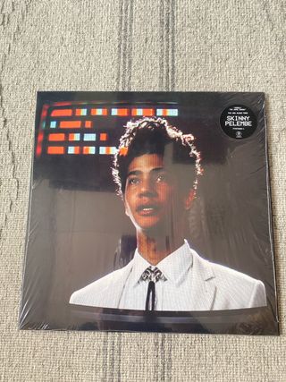 Vinilo Skinny Pelembe The Hive Swarms