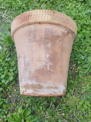 Maceta antigua de terracota