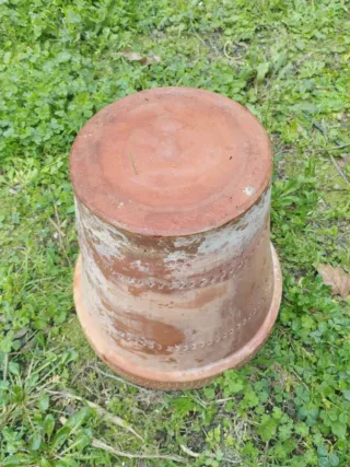 Maceta antigua de terracota