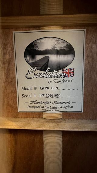 Guitarra Acústica Tanglewood Evolution TW28