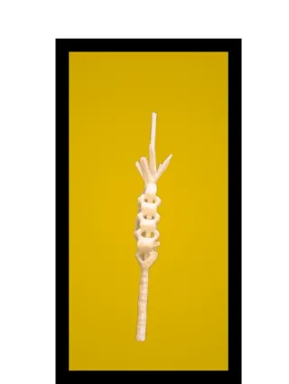 Figura 3D miniatura  Palma semana santa