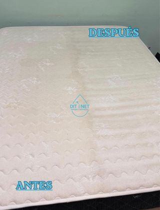 Limpieza de Colchones a domicilio