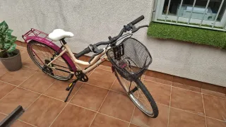 Bicicleta niña Ethnic 24