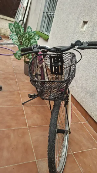 Bicicleta niña Ethnic 24