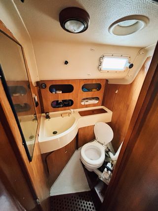 Velero Alpa 950 9,5m