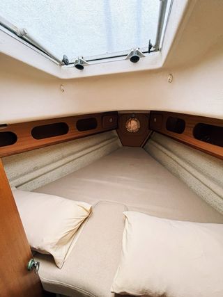 Velero Alpa 950 9,5m