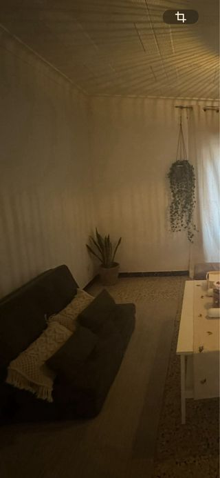 Sofá Cama Individual Verde Plegable