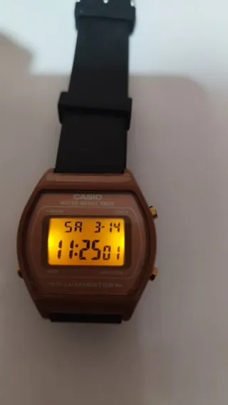 Reloj Casio Marrón y Dorado