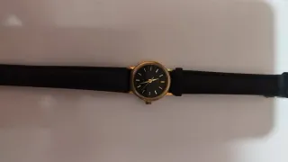 Reloj Casio Marrón y Dorado