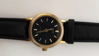 Reloj Casio Marrón y Dorado